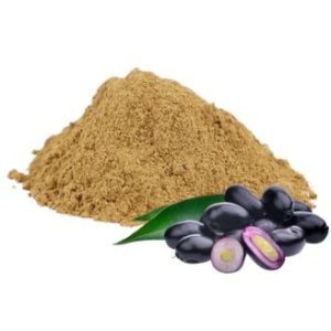 Jamun Seed Powder