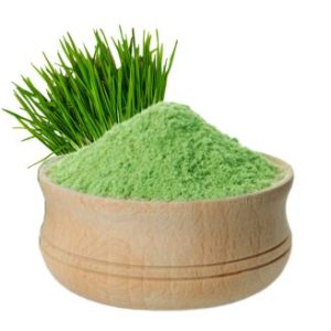 organic Wheatgrass Powder