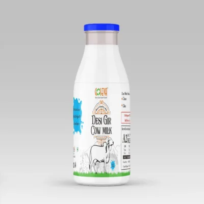 A2 Milk gir cow